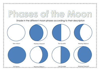 Phases of the Moon Activity by The Science Hub | TPT