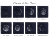 Phases of the Moon Chart
