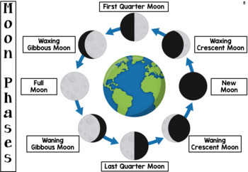 Phases of the Moon Comprehension and Cookie Activity by Silly Sherbet