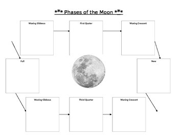 Preview of Phases of the Moon Cookie Activity