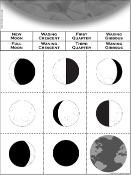 Phases of the Moon: Interactive Model by Two Teaching Taylors | TpT