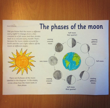 Phases of the Moon (Oreos) activity by Miss Irvine's Class | TpT