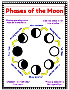 Phases of the Moon Poster