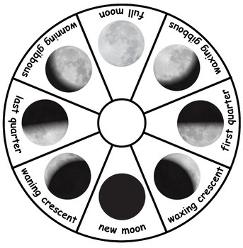 Phases of the Moon Spinner by mommyblunder | Teachers Pay Teachers