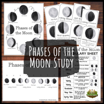 Preview of Phases of the Moon Study