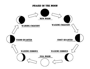 Phases of the Moon Templates by Kelly Sanchez TPT | TpT