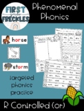 Phenomenal Phonics: R Controlled or