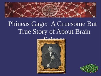 Preview of Phineas Gage:  A Gruesome But True Story of About Brain Science