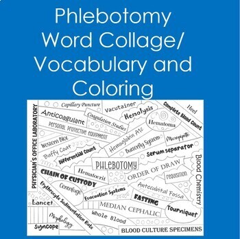 Preview of Phlebotomy Word Collage (Vocabulary, Coloring, Blood, Health Sciences)