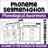 Phoneme Segmentation: Phonological Awareness Worksheets