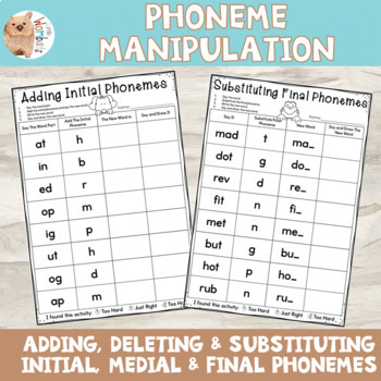 Preview of Phonemic Awareness Phoneme Manipulation Sound Swap