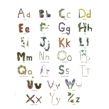 Preview of Phonetic Nature Alphabet - Upper and Lower Case Woodland Alphabet ABC Poster