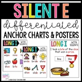 Phonics Anchor Charts and Posters - SILENT E