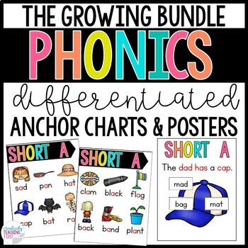 Preview of Phonics Posters and Word Cards - THE BUNDLE