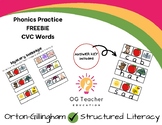 Phonics CVC Mystery Message Activity