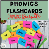 Phonics Patterns word cards BUNDLE
