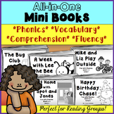 All-in-One Mini Books, Phonics, Vocabulary, Comprehension,