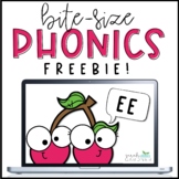 Phonics Mini-Lesson | EE | FREEBIE! | PowerPoint Slides