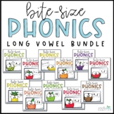 Phonics Mini-Lesson | Long Vowel BUNDLE | PowerPoint Slides
