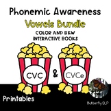 Phonics Phonemic Awareness Long & Short Vowels Popcorn Int