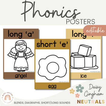 Preview of Phonics Posters | Daisy Gingham Neutrals English Classroom Decor
