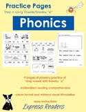 Phonics Practice Pages - Sneaky "e"/Long Vowel