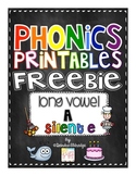 Phonics Printables- Long Vowel a_e Freebie!