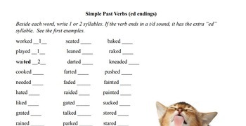 Preview of Phonics Reading Bundle