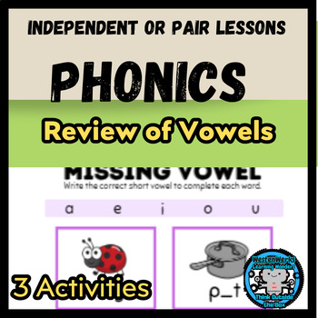 Preview of Phonics Review of Vowels | Worksheets