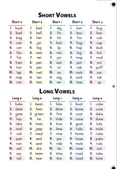 Phonics Short and Long Vowel Student Book- CVC & CVVE by RAS English