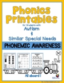 Phonics Reading Skills Printables for Students with Autism