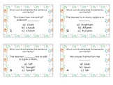 Phonics Task Cards Vowel Patterns