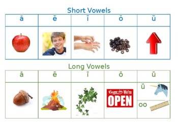 Preview of Phonics Vowel Chart (aligned w Barton + Orton Gillingham dyslexia materials )