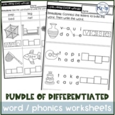 Phonics Worksheet BUNDLE- Differentiated for Special Education