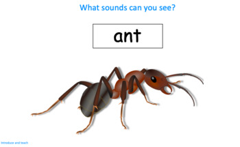 Preview of Phonics - 'a' as in ant - Introduce and Teach - gslides