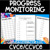 Phonics and Reading Decoding Progress Monitoring Assessmen