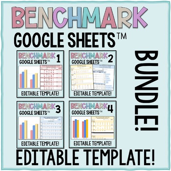 Preview of Phonics and Word Reading Editable Benchmark Assessments in Google Sheets™