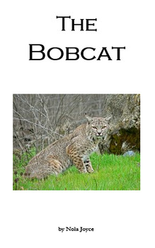 Preview of Phonics story "The Bobcat" for older students (vccv-closed multi-syllable words)