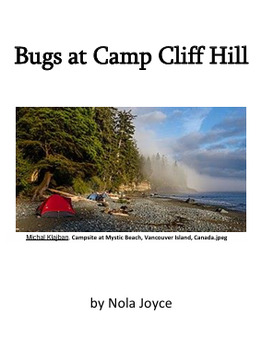 Preview of Phonics story "The Camp at Cliff Hill" for older students (cvc & ff, ll, ss, zz)