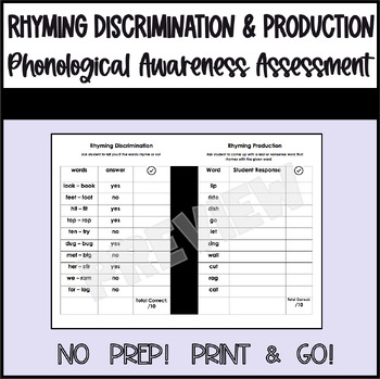 Preview of Phonological Awareness Assessment - Rhyming Discrimination and Production