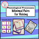 Phonological Processes: Minimal Pairs for Voicing