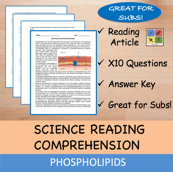 Preview of Phospholipids - Reading Passage and x 10 Questions (EDITABLE)