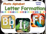 Photo Alphabet Letter Formation Cards- real photos!