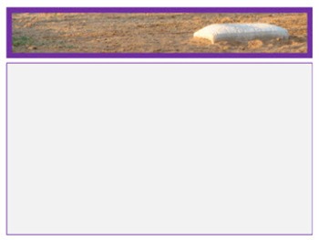 Preview of Digital Papers Set - Baseball Field With Purple Accent Theme