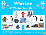 WINTER Vocabulary Photo Flash Cards 3 Formats