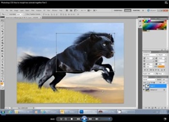 Preview of PhotoShop CS5 How to Morph two Animals together Video Directions