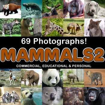 Preview of Photos Photographs MAMMALS 2 clip art