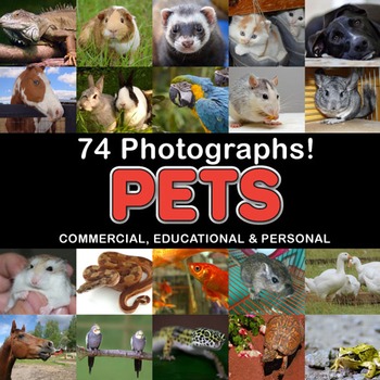 Preview of Photos Photographs PETS, clip art