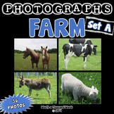 Farm Photos - Set 1 (BUNDLE)