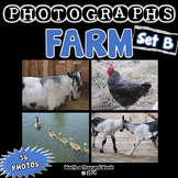 Farm Photos - Set 2 (BUNDLE)